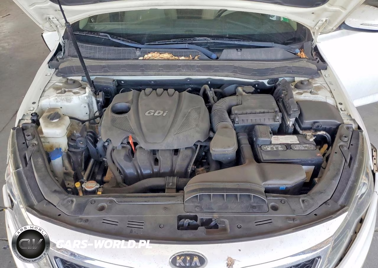 2011 Kia Optima Ex VIN:KNAGN4A78B5063661 - 11