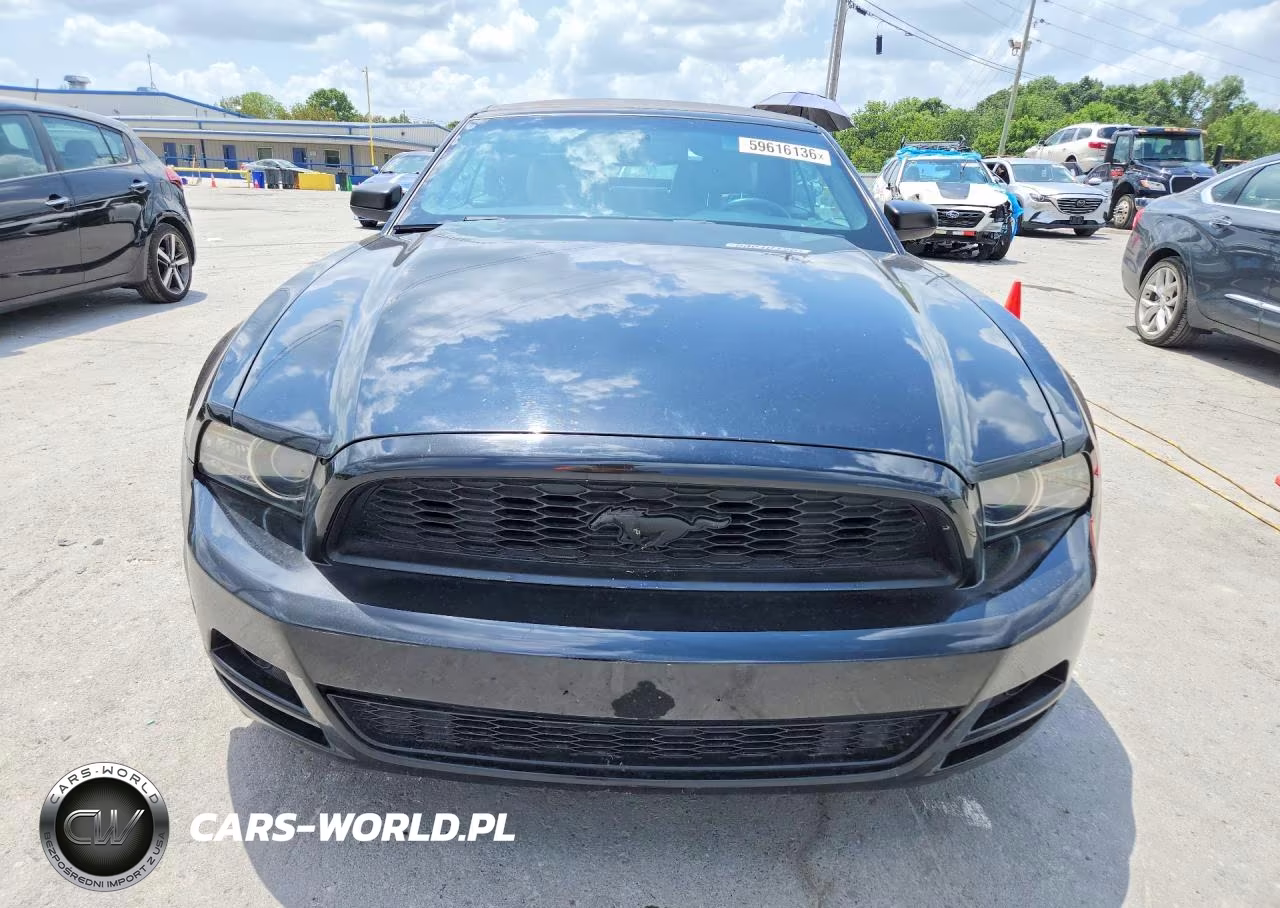 2014 Ford Mustang VIN:1ZVBP8EM8E5322777 - 5