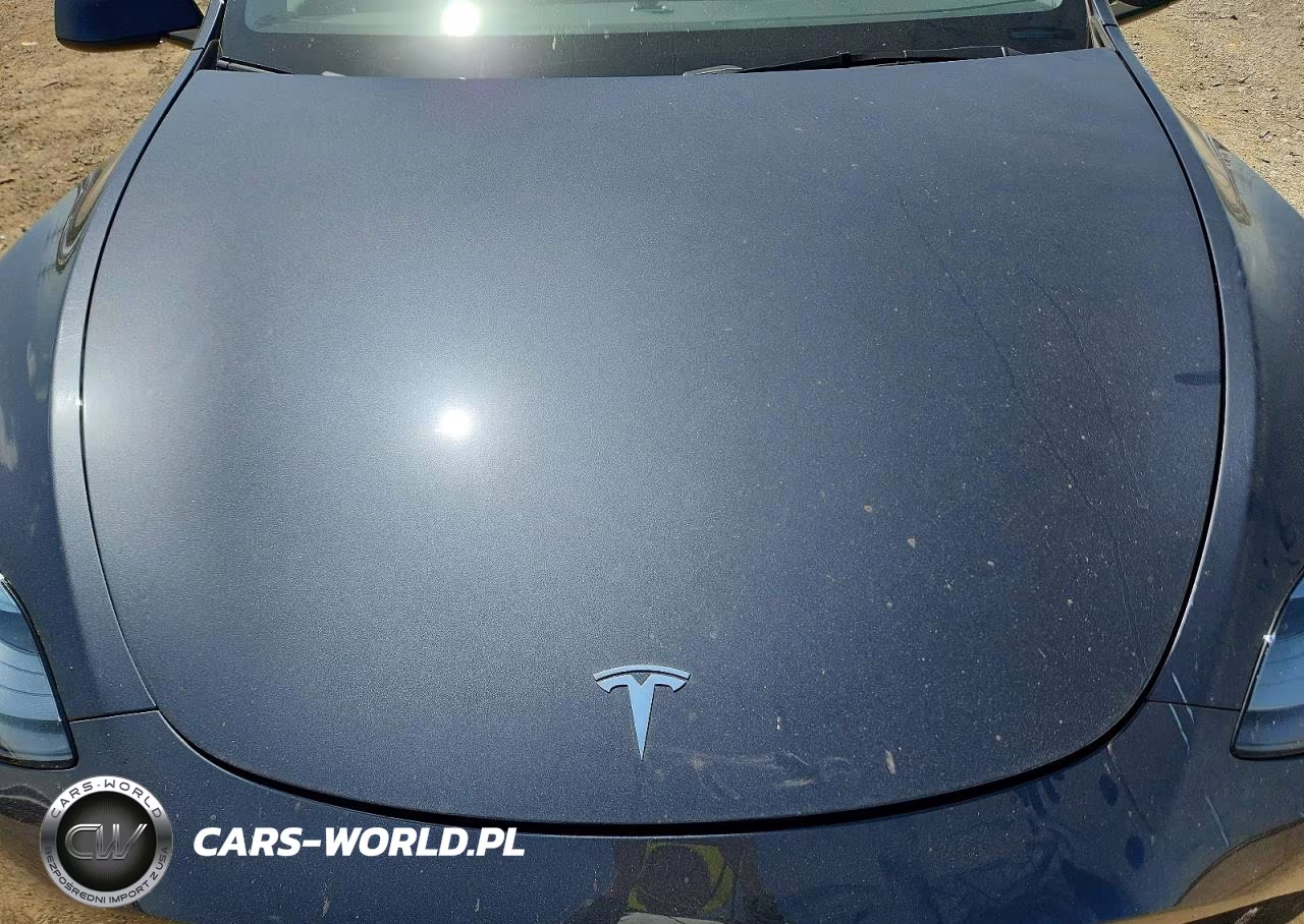 2024 Tesla Model Y VIN:7SAYGAEE9RF201891 - 11