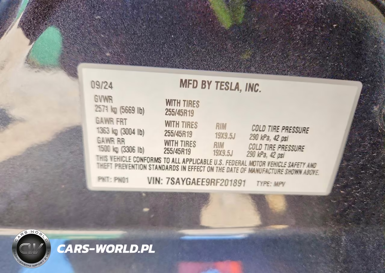 2024 Tesla Model Y VIN:7SAYGAEE9RF201891 - 12