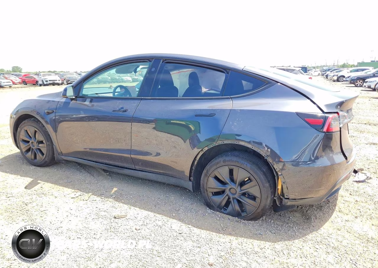 2024 Tesla Model Y VIN:7SAYGAEE9RF201891 - 2
