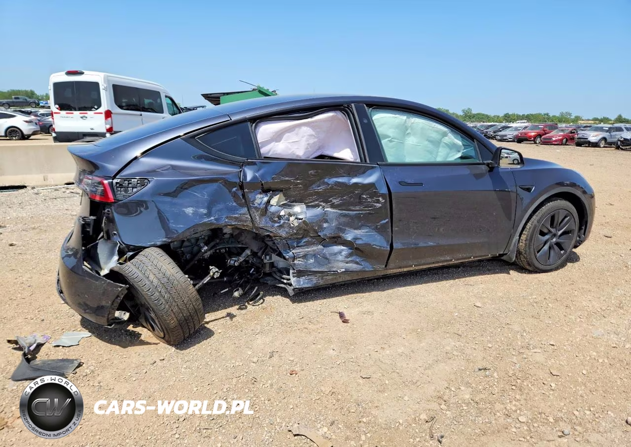 2024 Tesla Model Y VIN:7SAYGAEE9RF201891 - 3