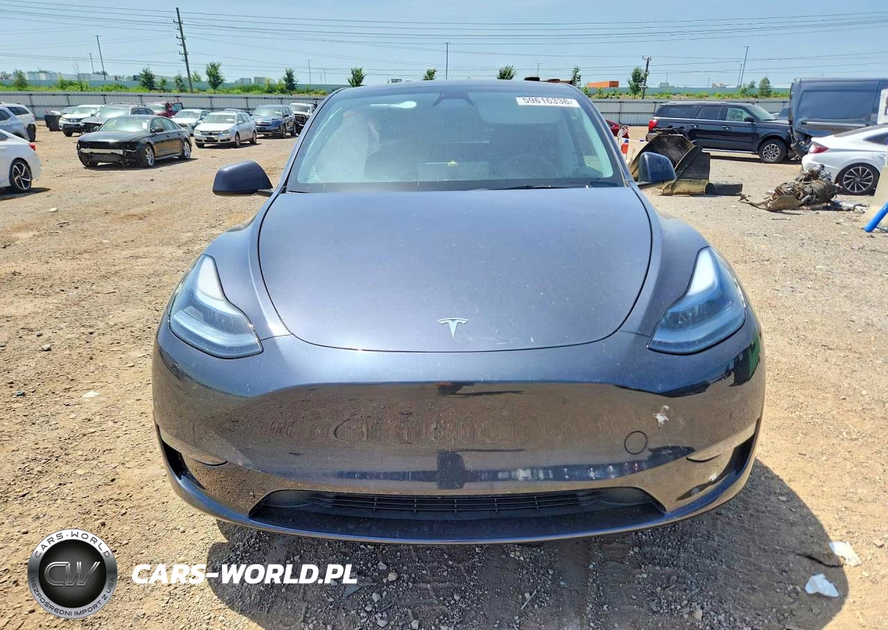 2024 Tesla Model Y VIN:7SAYGAEE9RF201891 - 5