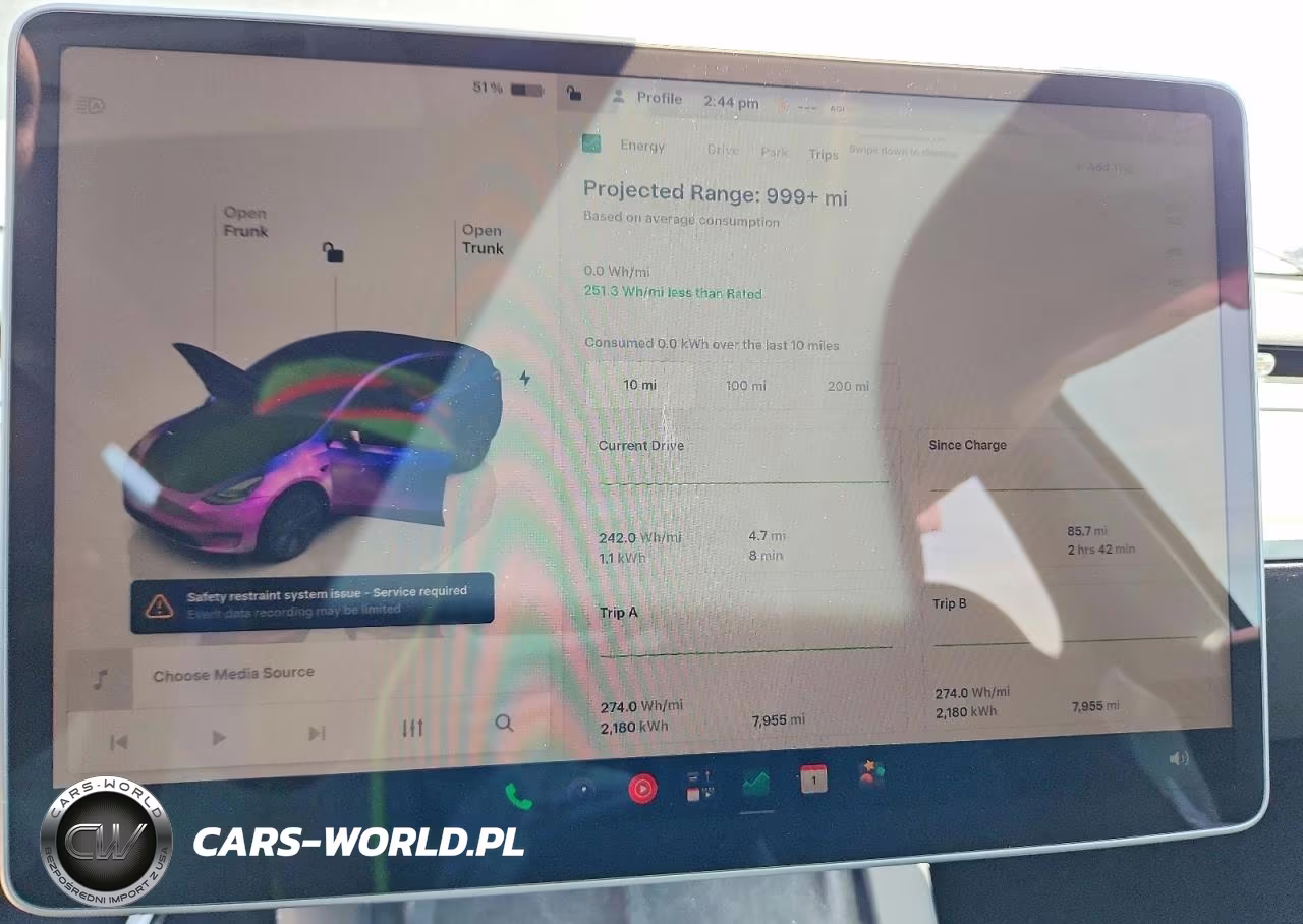 2024 Tesla Model Y VIN:7SAYGAEE9RF201891 - 9