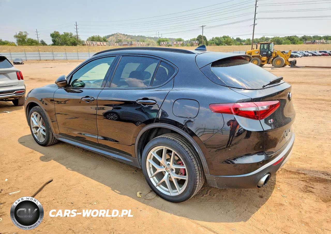 2019 Alfa Romeo Stelvio VIN:ZASPAKAN5K7C42673 - 2