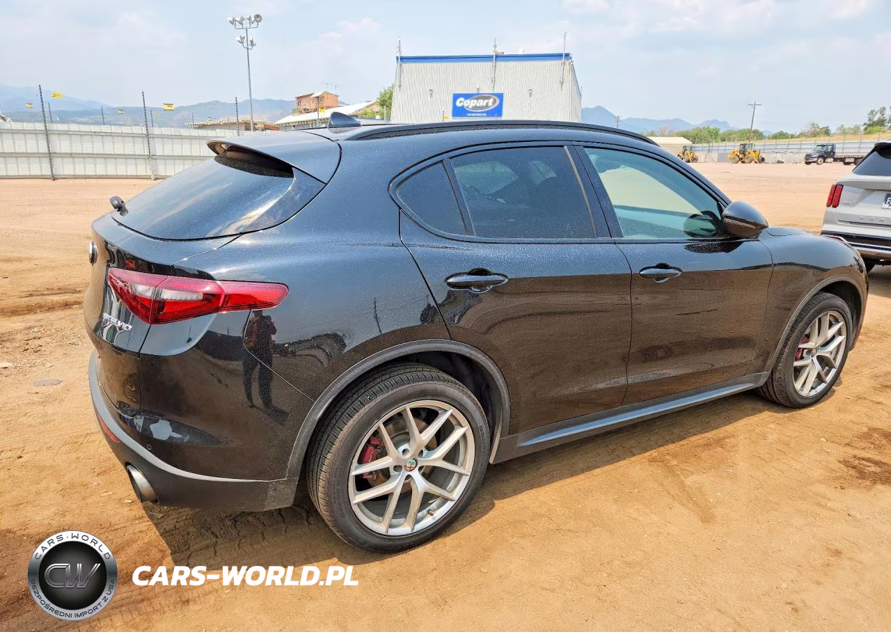 2019 Alfa Romeo Stelvio VIN:ZASPAKAN5K7C42673 - 3