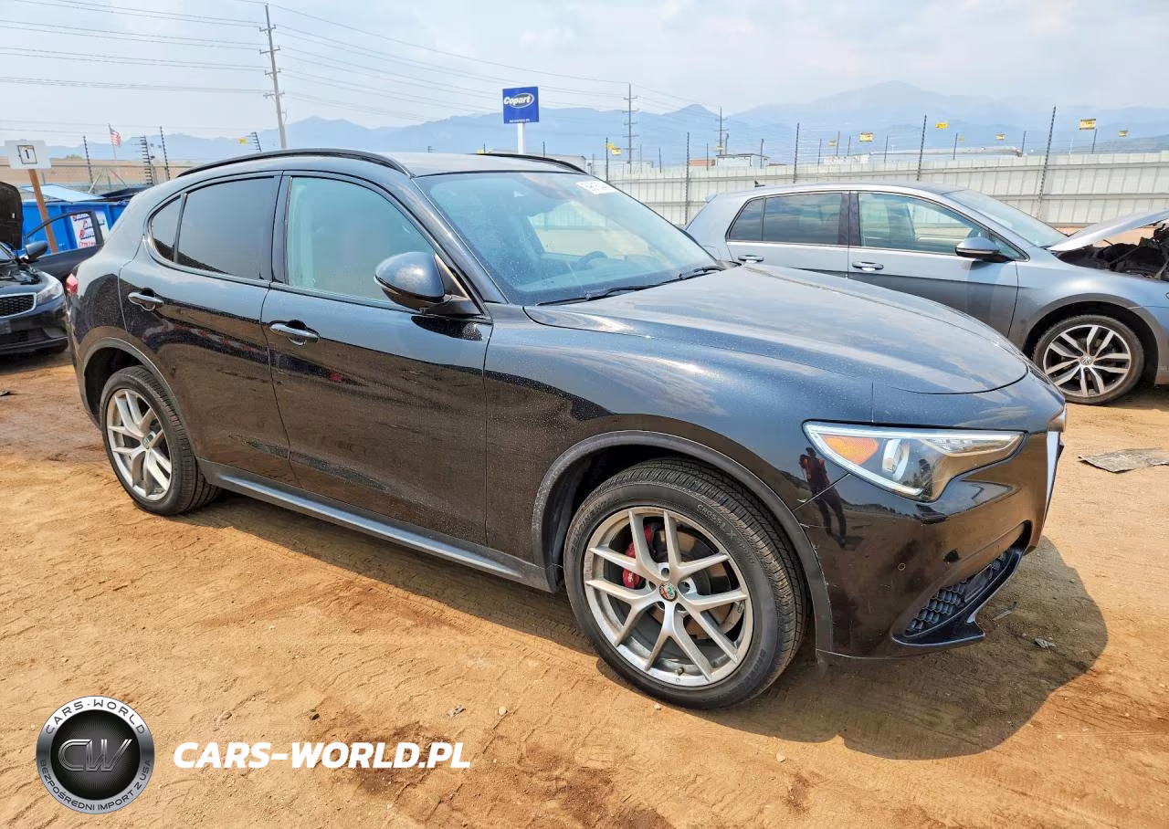 2019 Alfa Romeo Stelvio VIN:ZASPAKAN5K7C42673 - 4