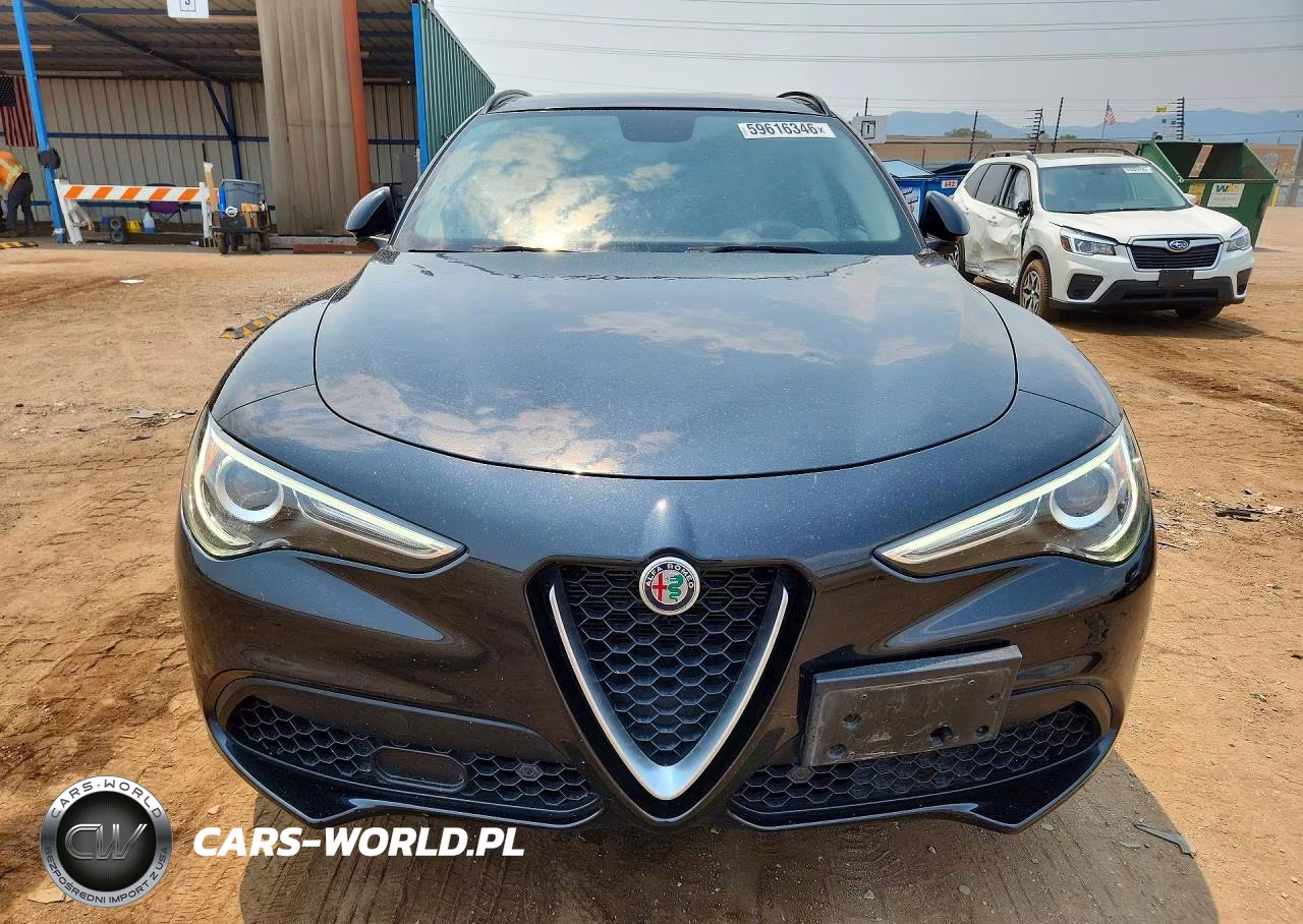 2019 Alfa Romeo Stelvio VIN:ZASPAKAN5K7C42673 - 5