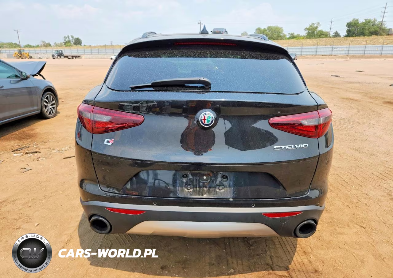 2019 Alfa Romeo Stelvio VIN:ZASPAKAN5K7C42673 - 6