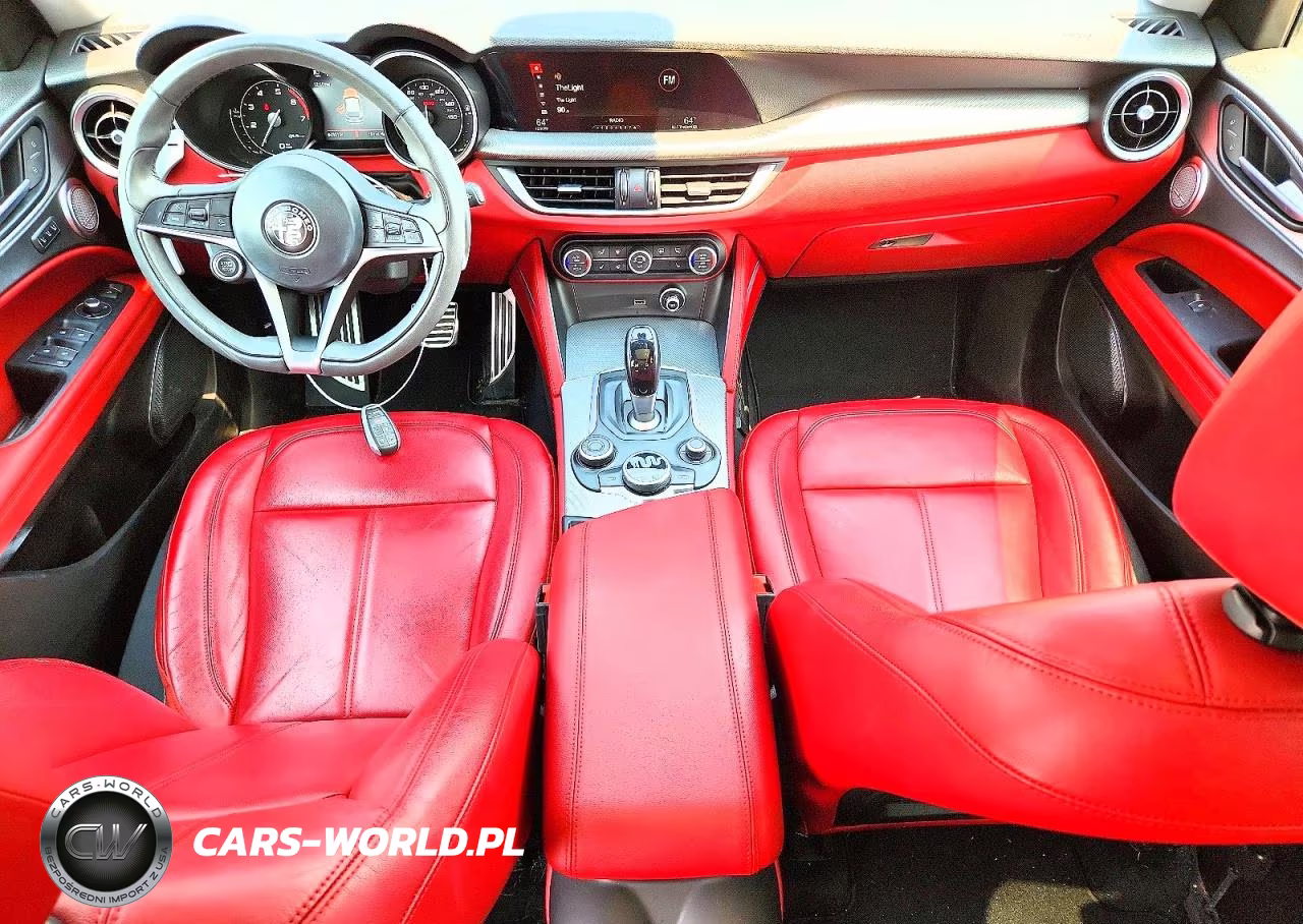 2019 Alfa Romeo Stelvio VIN:ZASPAKAN5K7C42673 - 8
