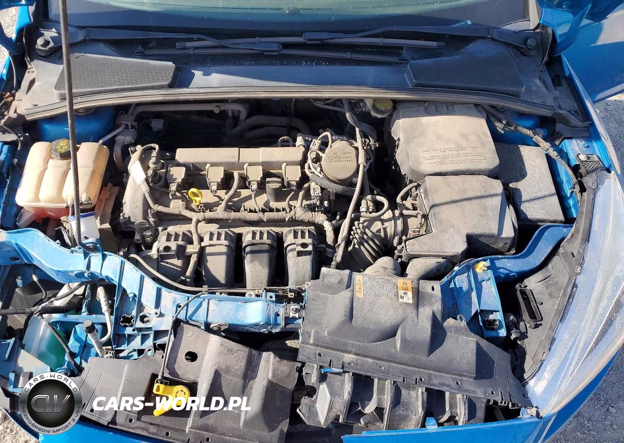 2016 Ford Focus Se VIN:1FADP3F22GL212677 - 11