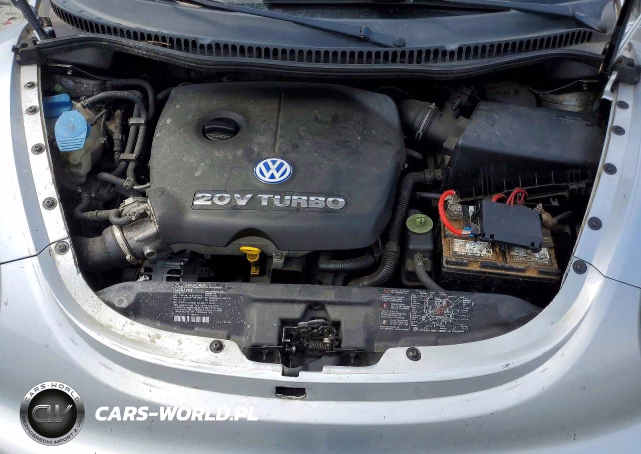 2002 Volkswagen New Beetle Gls Sport VIN:3VWED21C32M443058 - 11