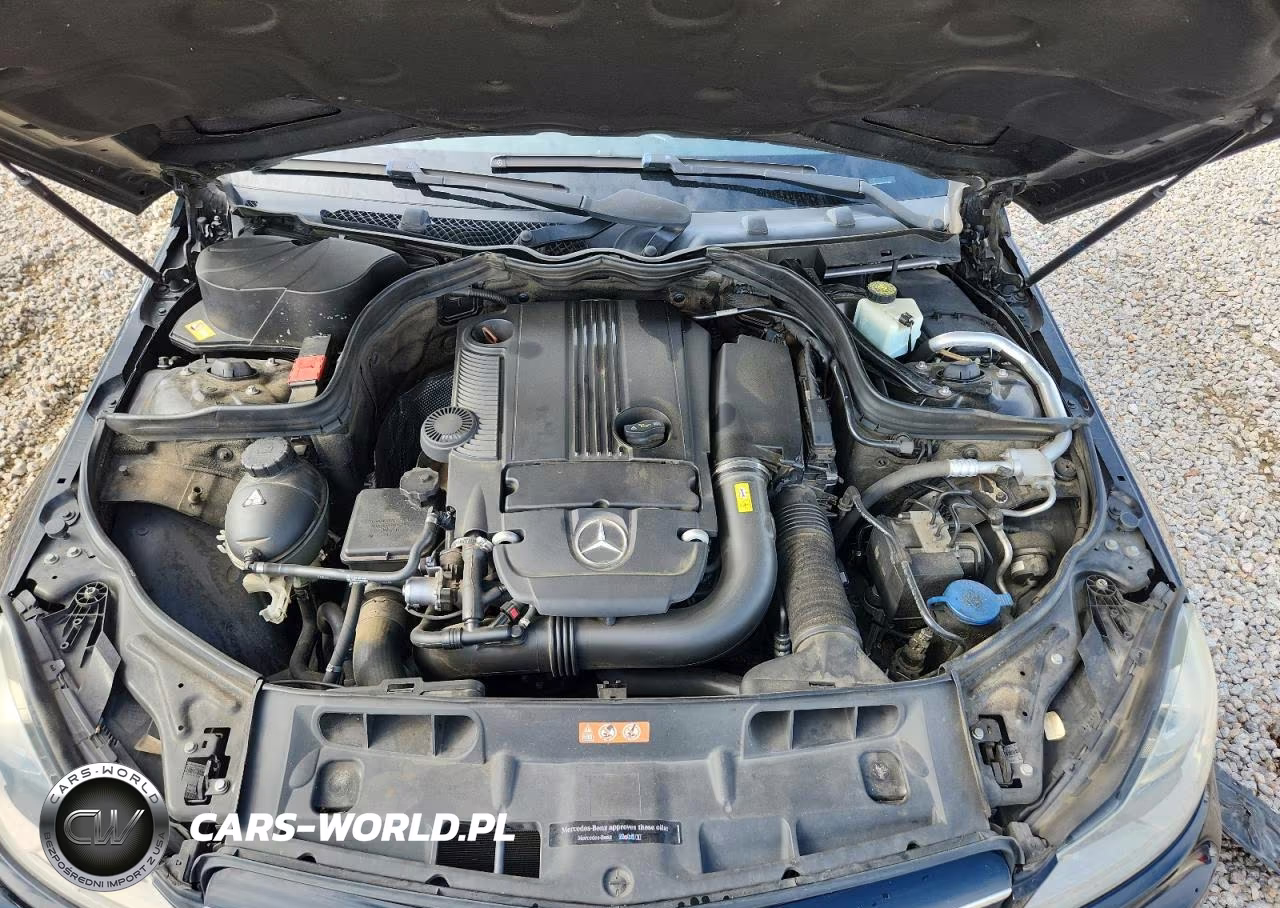 2014 Mercedes-Benz C 250 VIN:WDDGJ4HB0EG287983 - 11