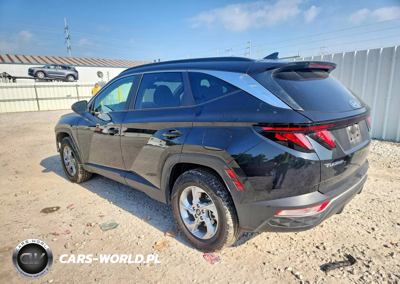 2024 Hyundai Tucson Sel VIN:5NMJBCDE6RH302055 - 2