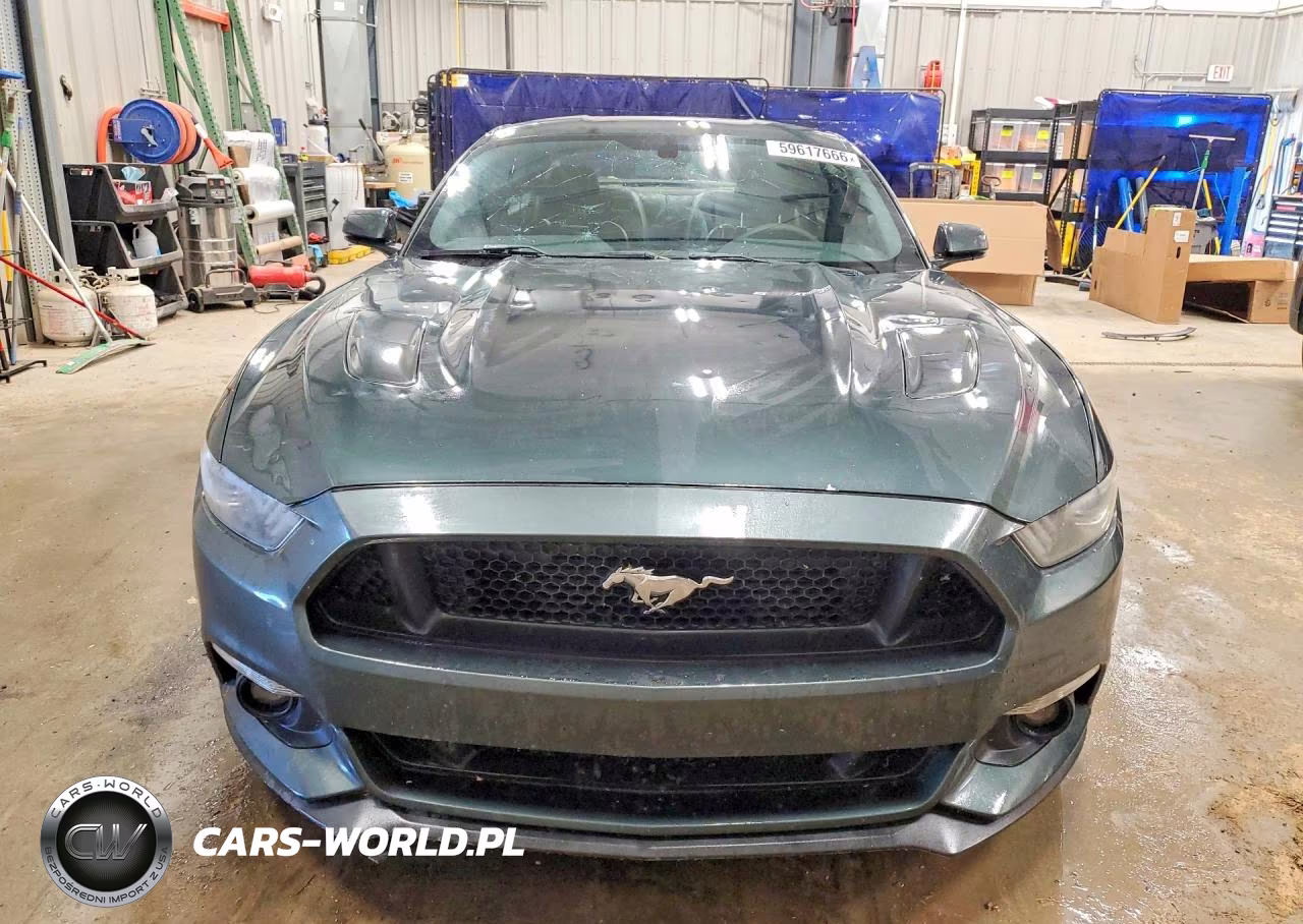 2015 Ford Mustang Gt VIN:1FA6P8CF7F5407187 - 5
