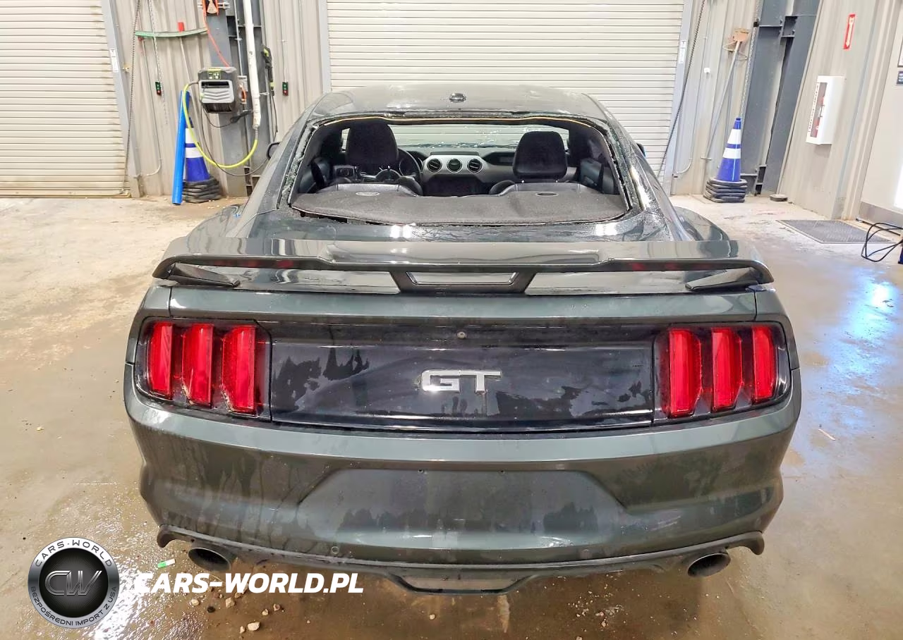 2015 Ford Mustang Gt VIN:1FA6P8CF7F5407187 - 6