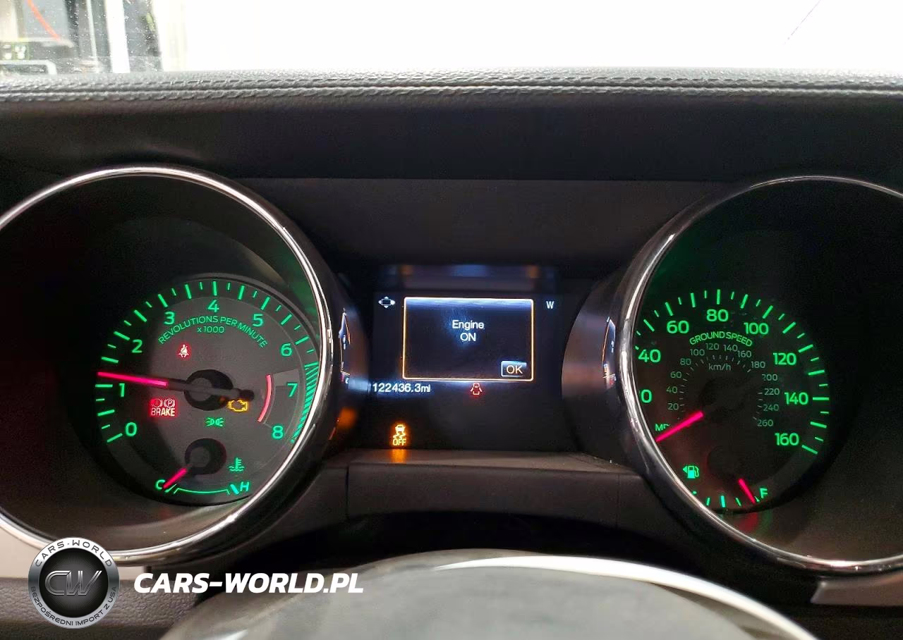 2015 Ford Mustang Gt VIN:1FA6P8CF7F5407187 - 9