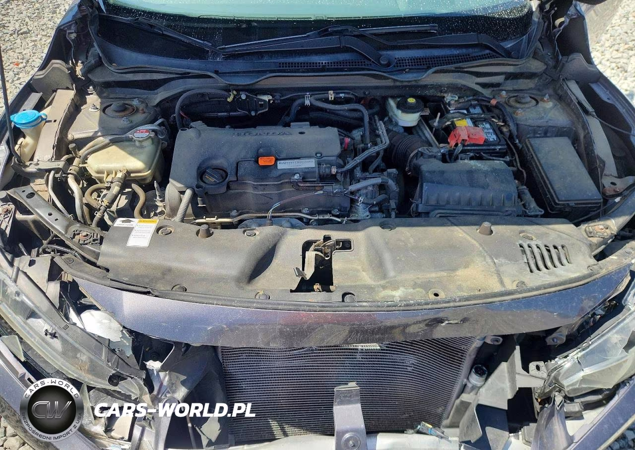 2016 Honda Civic Lx VIN:19XFC2F50GE206419 - 11