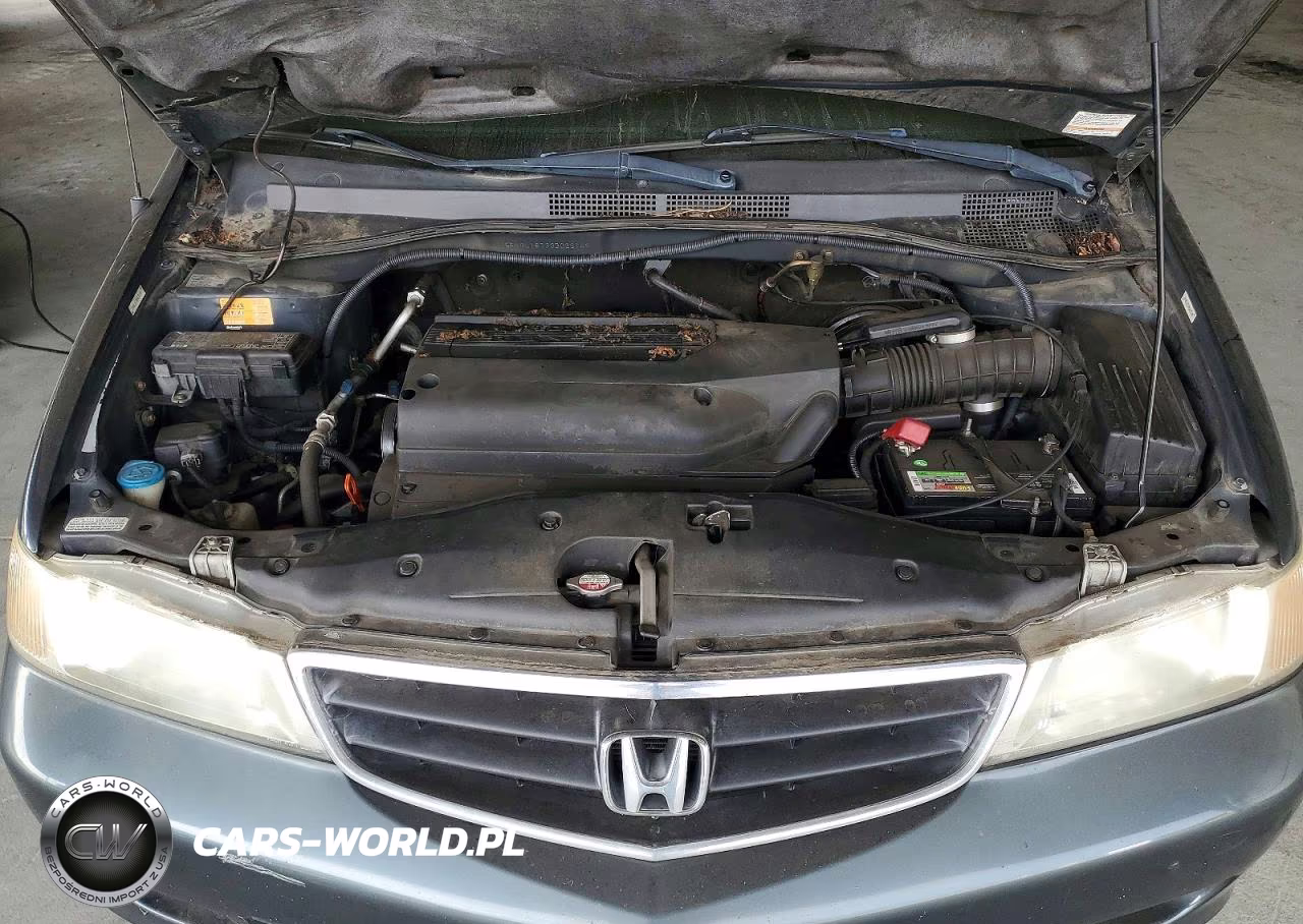 2003 Honda Odyssey Exl VIN:5FNRL18733B026149 - 12