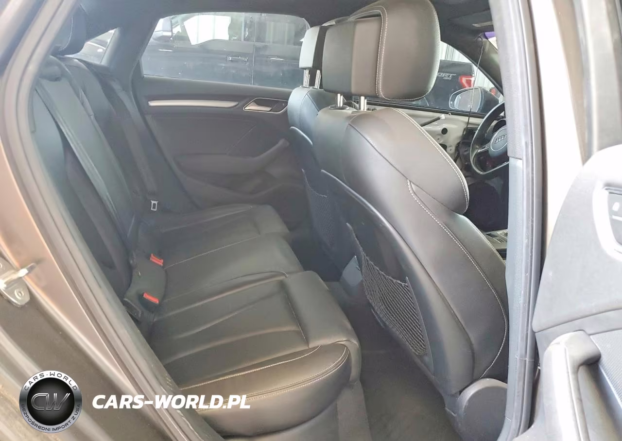 2016 Audi S3 Premium Plus VIN:WAUB1GFF3G1062164 - 10