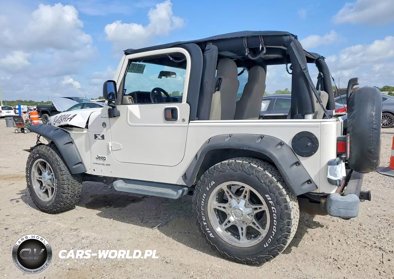 2003 Jeep Wrangler Commando VIN:1J4FA39SX3P300826 - 2