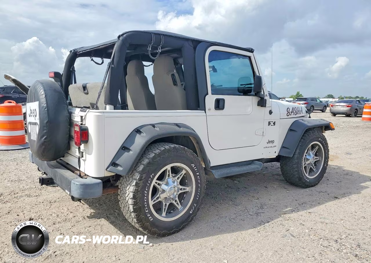 2003 Jeep Wrangler Commando VIN:1J4FA39SX3P300826 - 3