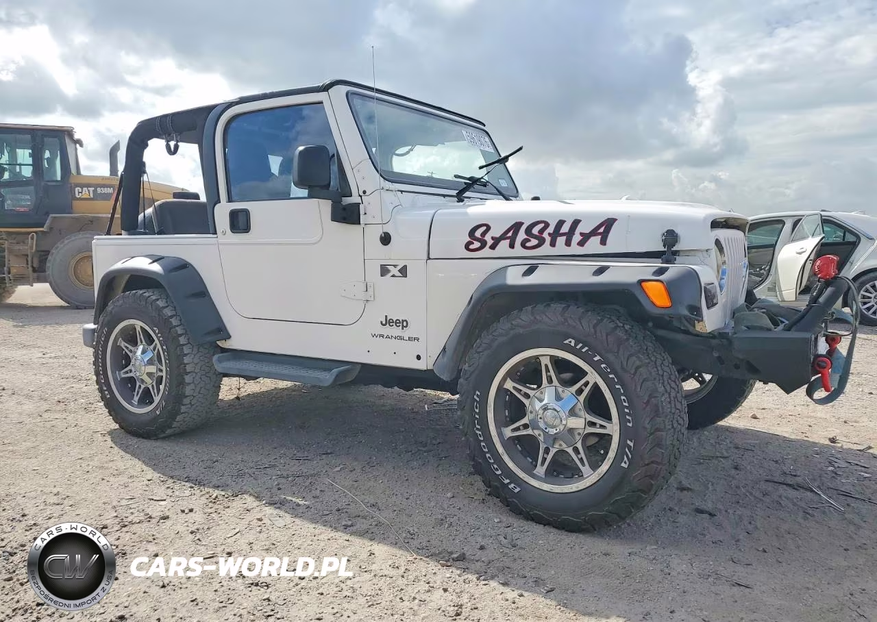 2003 Jeep Wrangler Commando VIN:1J4FA39SX3P300826 - 4