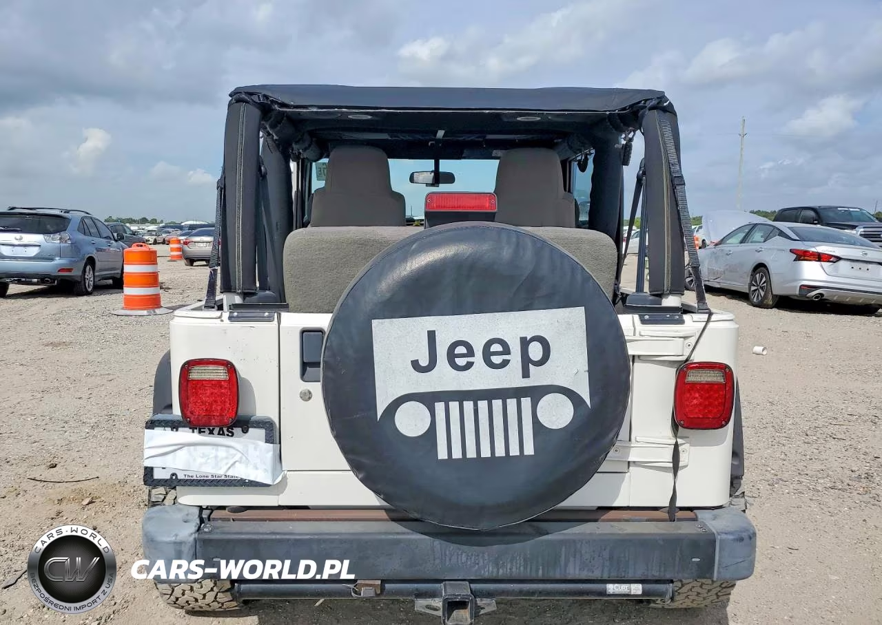 2003 Jeep Wrangler Commando VIN:1J4FA39SX3P300826 - 6