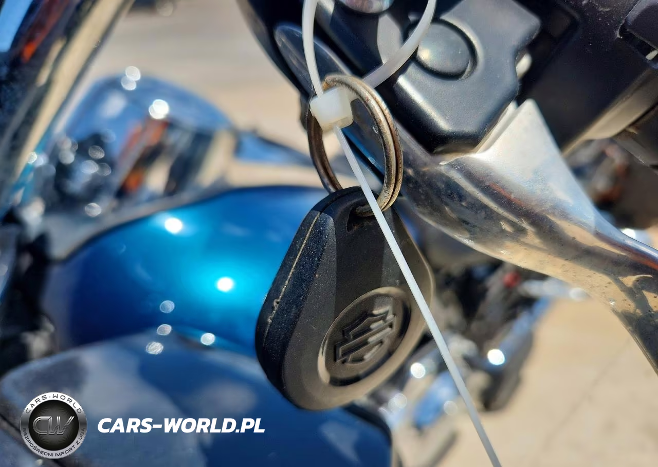 2020 Harley-Davidson Fltrk VIN:1HD1KZF15LB642885 - 8