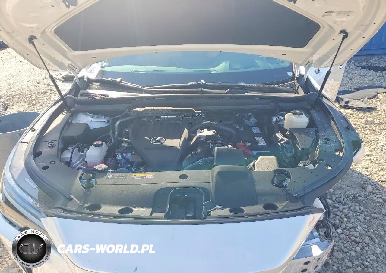 2024 Lexus Rx 350 Premium+ VIN:2T2BAMBA0RC037924 - 12