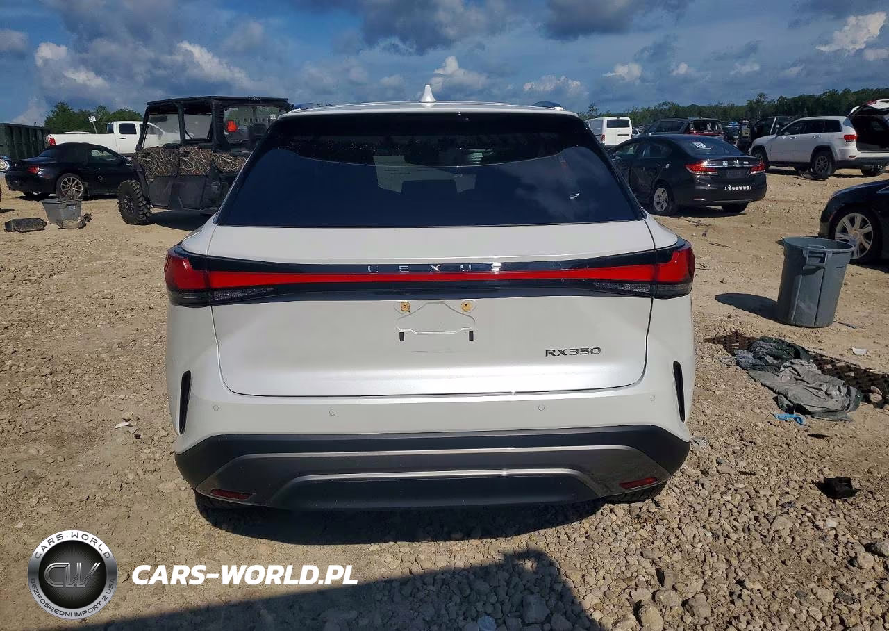 2024 Lexus Rx 350 Premium+ VIN:2T2BAMBA0RC037924 - 6