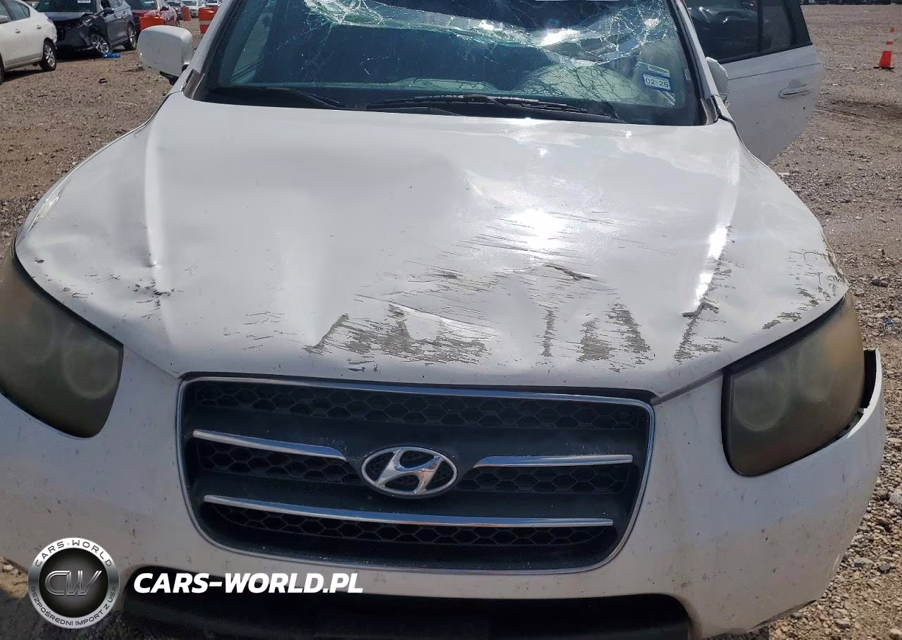 2007 Hyundai Santa Fe VIN:5NMSH13E37H071170 - 11