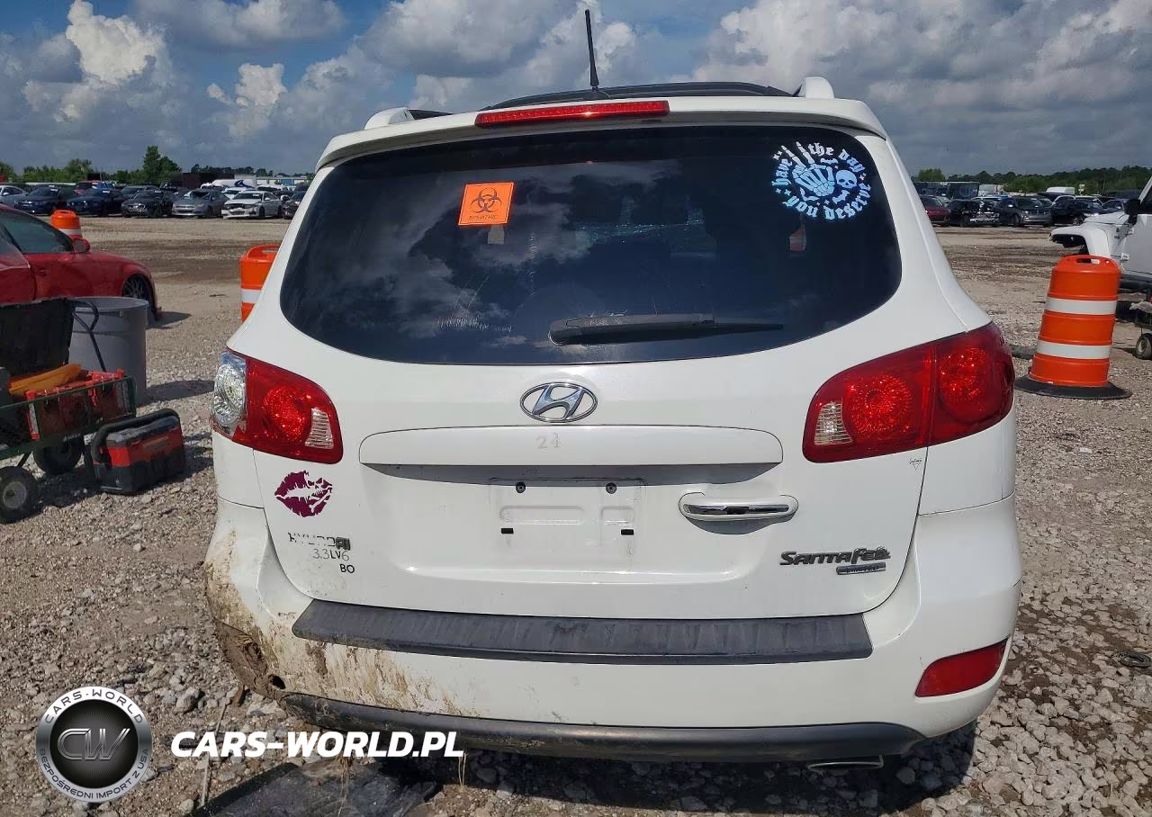 2007 Hyundai Santa Fe VIN:5NMSH13E37H071170 - 6