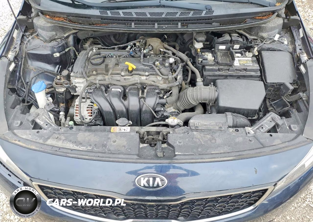 2017 Kia Forte Lx VIN:KNAFK5A89H5687478 - 11