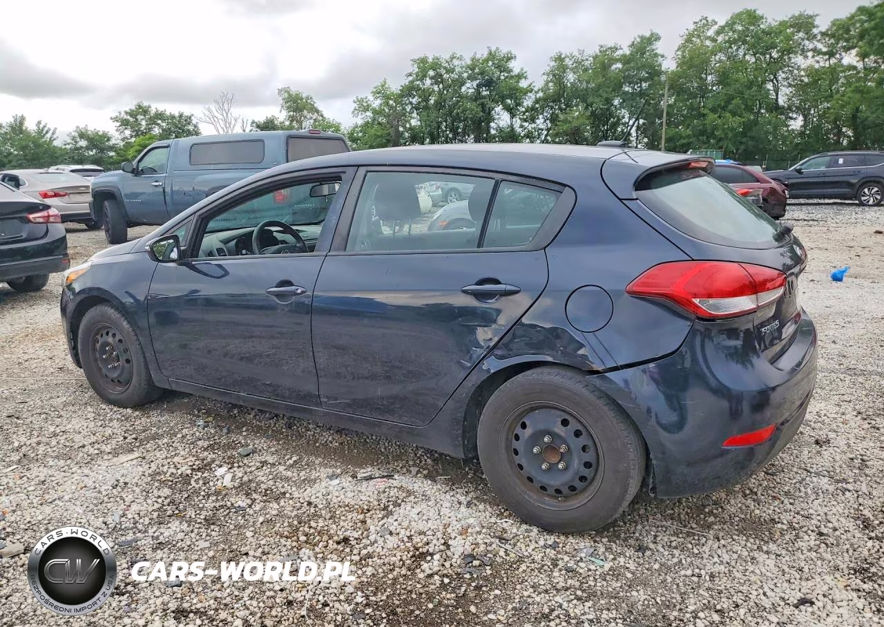 2017 Kia Forte Lx VIN:KNAFK5A89H5687478 - 2