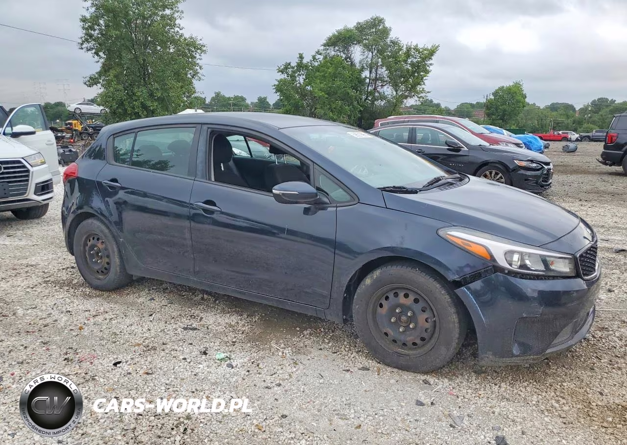 2017 Kia Forte Lx VIN:KNAFK5A89H5687478 - 4