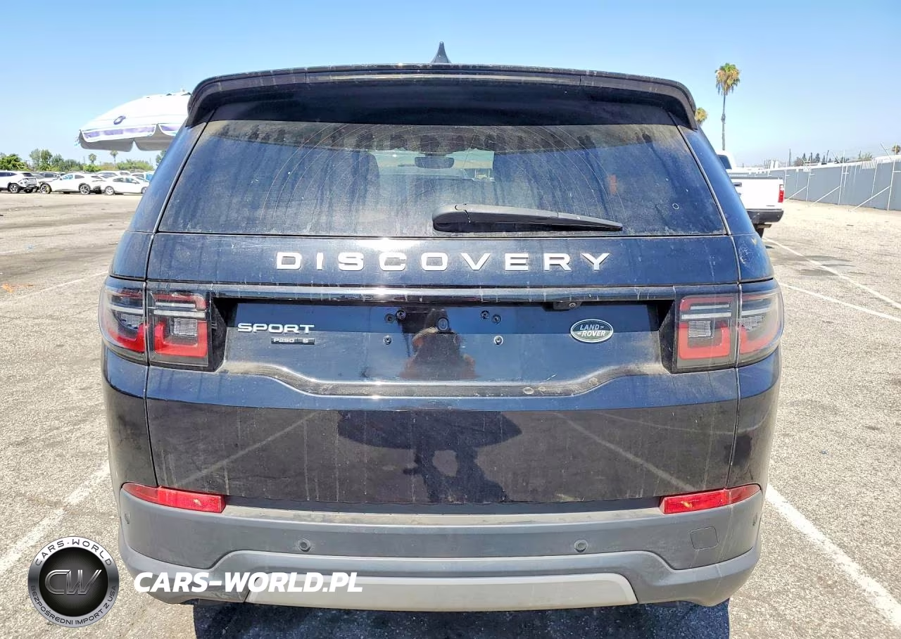 2020 Land Rover Discovery Sport S VIN:SALCJ2FX9LH836009 - 6