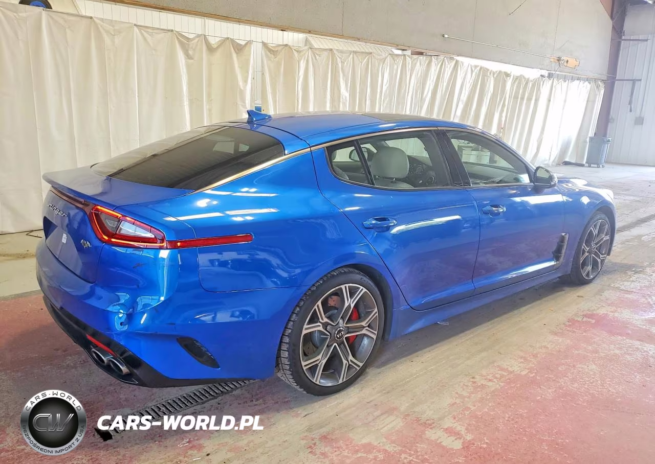 2018 Kia Stinger Gt2 VIN:KNAE55LC0J6028709 - 3