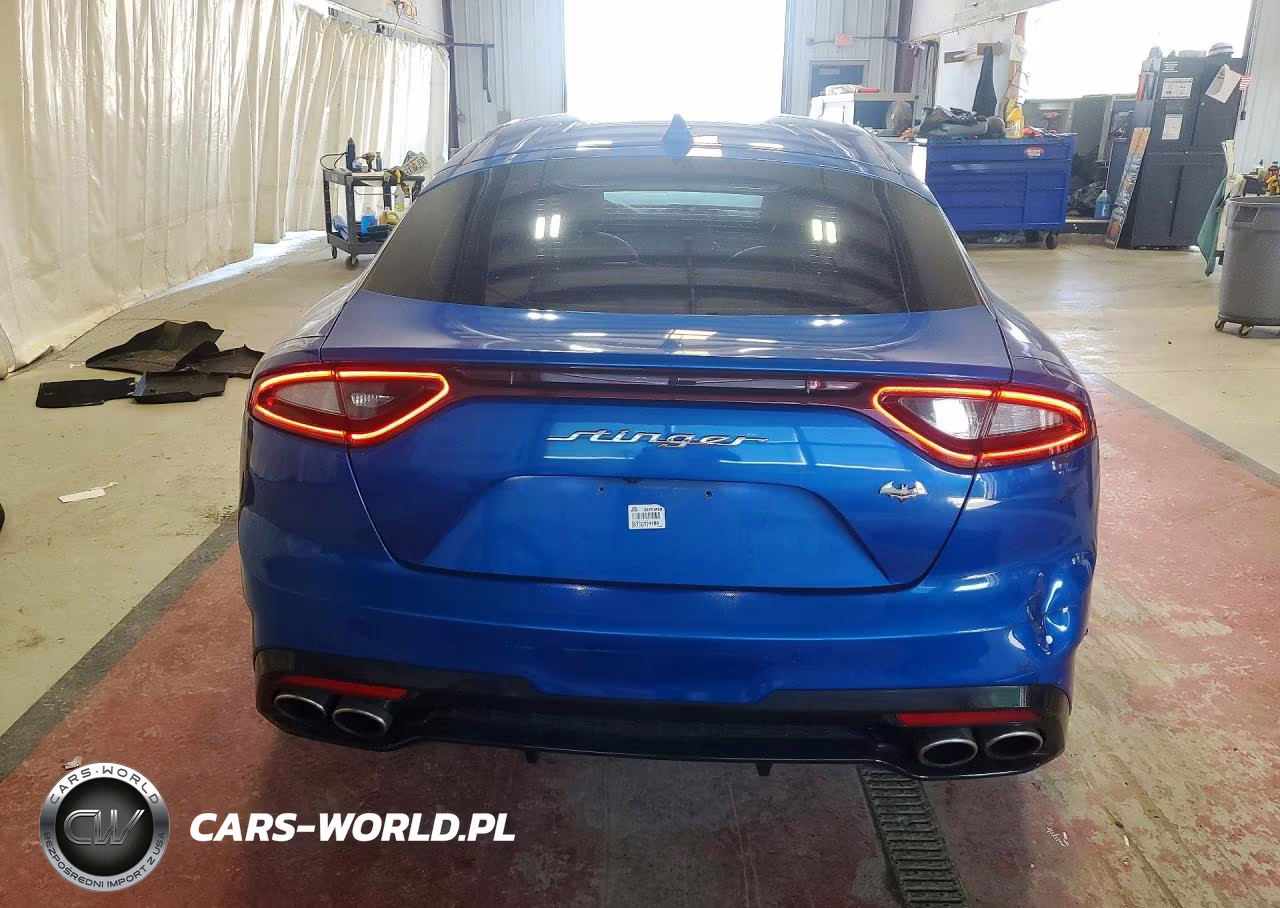 2018 Kia Stinger Gt2 VIN:KNAE55LC0J6028709 - 6
