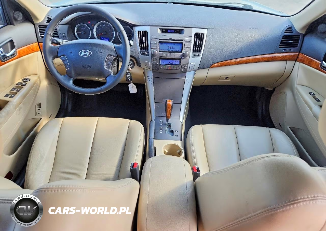 2010 Hyundai Sonata Limited VIN:5NPEU4AC5AH649887 - 8