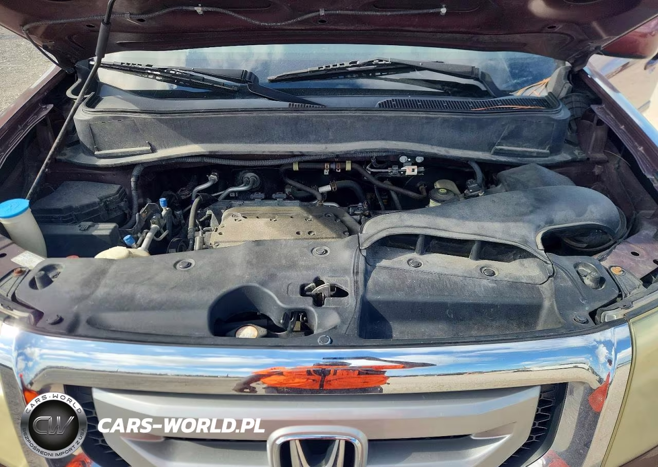 2009 Honda Pilot Ex VIN:5FNYF48459B004320 - 12