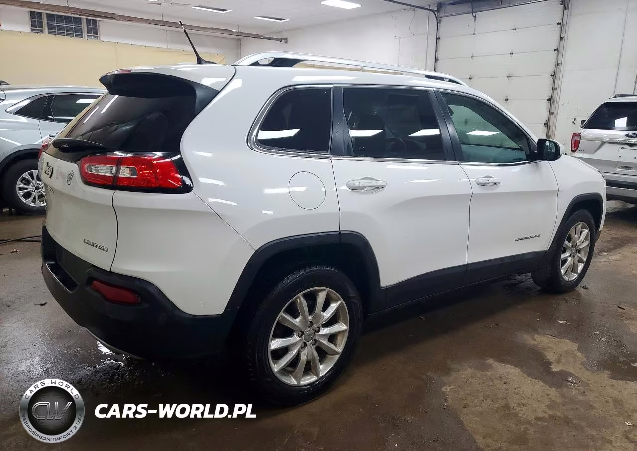 2014 Jeep Cherokee Limited VIN:1C4PJMDS0EW250325 - 3
