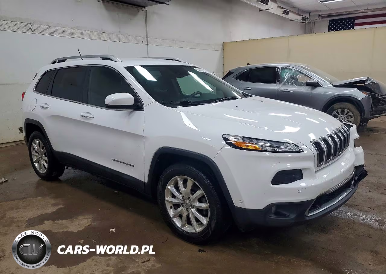 2014 Jeep Cherokee Limited VIN:1C4PJMDS0EW250325 - 4