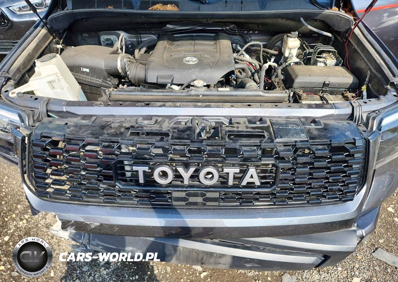 2021 Toyota Tundra Trd Pro VIN:5TFDY5F10MX045945 - 11