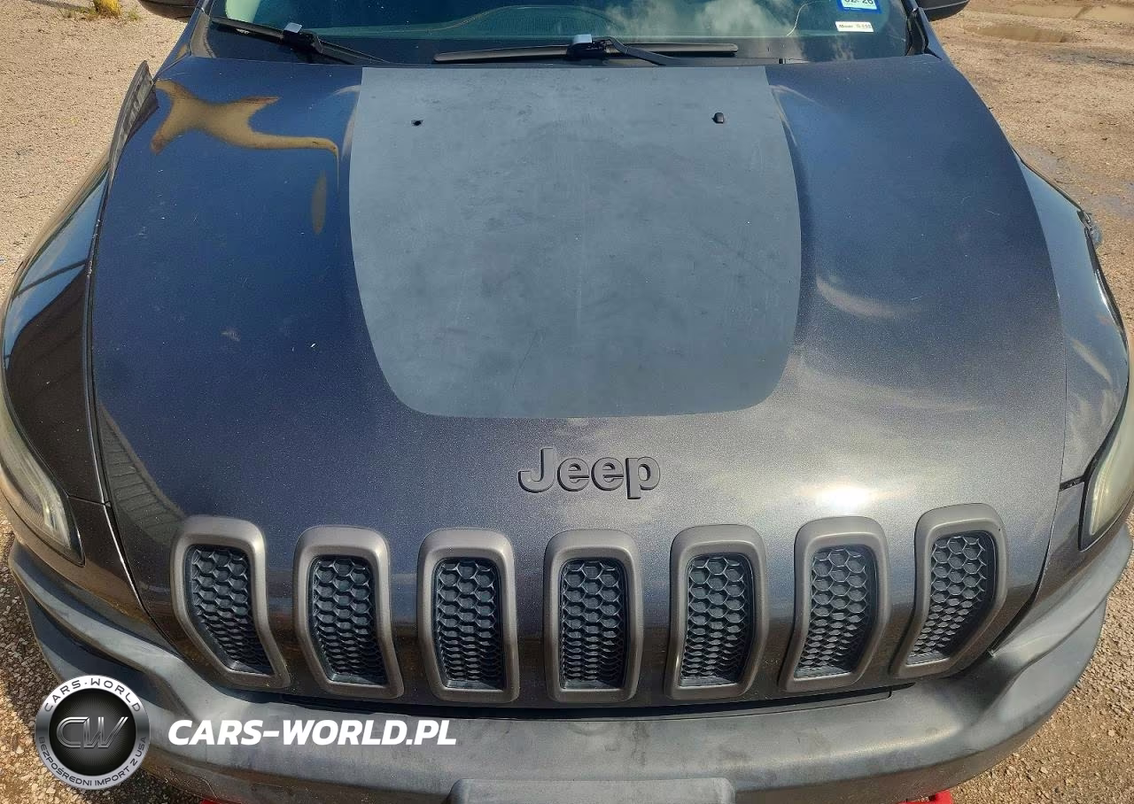 2016 Jeep Cherokee Trailhawk VIN:1C4PJMBSXGW227544 - 12