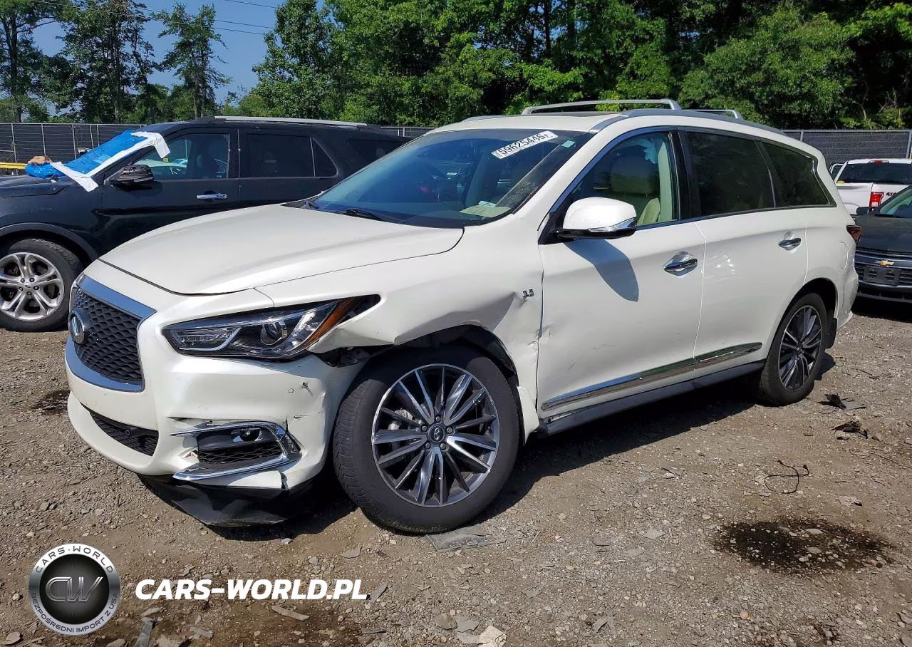 2020 Infiniti Qx60 Luxe VIN:5N1DL0MM6LC528243 - 1