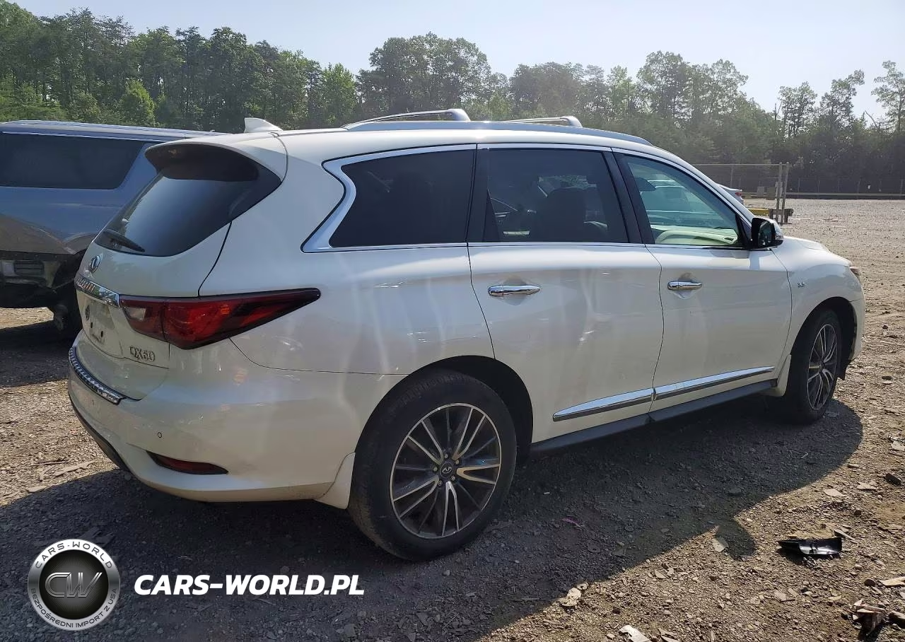 2020 Infiniti Qx60 Luxe VIN:5N1DL0MM6LC528243 - 3