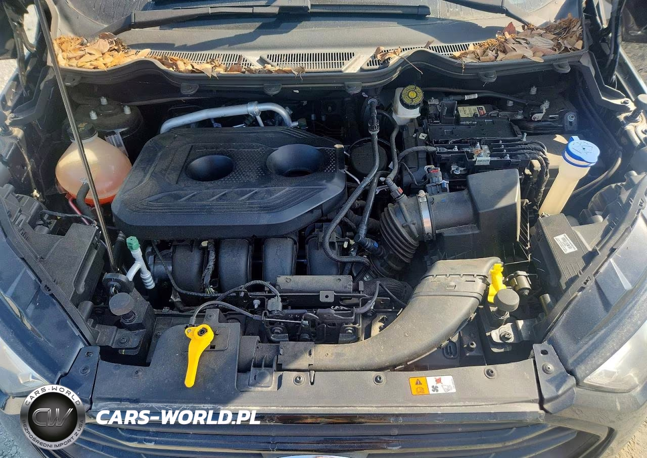 2020 Ford Ecosport S VIN:MAJ6S3FL6LC393941 - 11