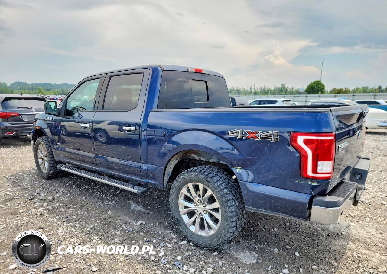 2015 Ford F150 Supercrew VIN:1FTEW1EG8FKD67242 - 2