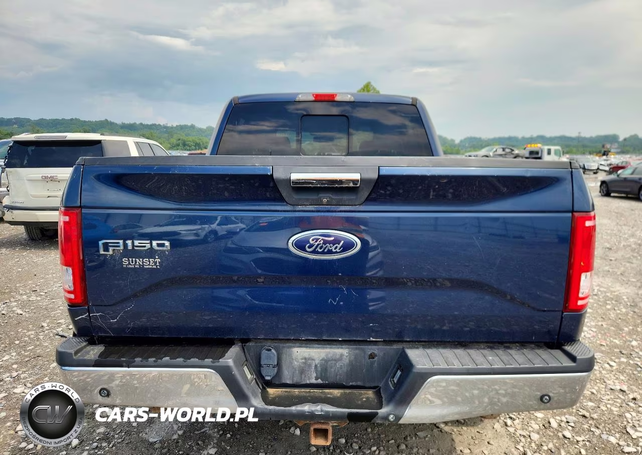 2015 Ford F150 Supercrew VIN:1FTEW1EG8FKD67242 - 6